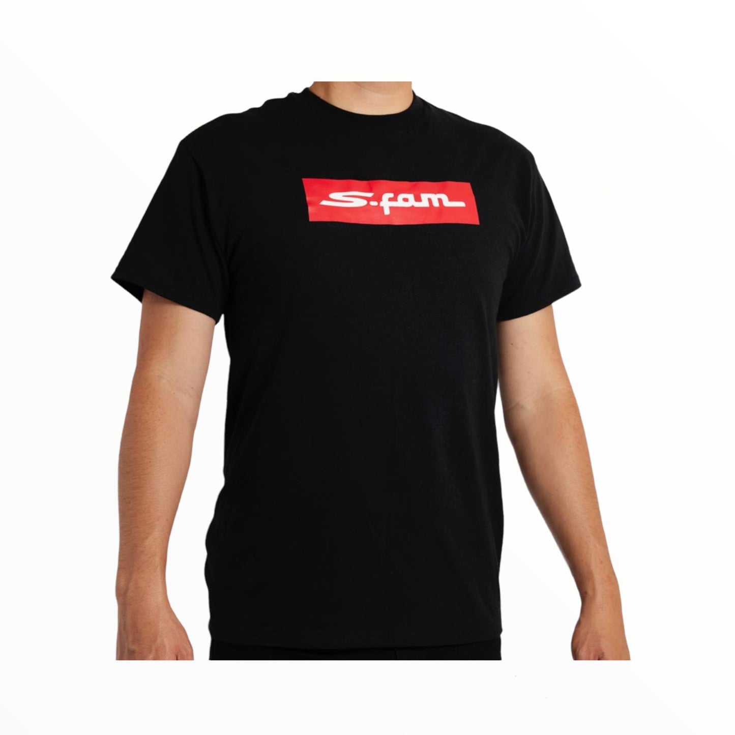 Tee-2 Box S-Fam Logo